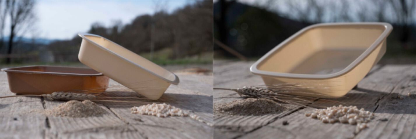 Glopack trays
