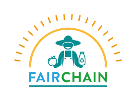 Fairchain logo color S