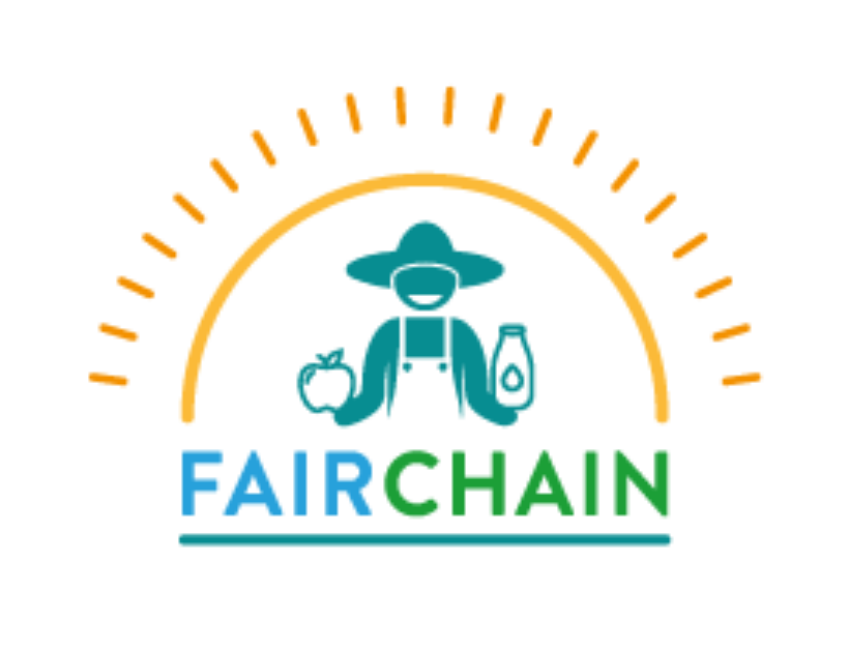 Fairchain logo color S